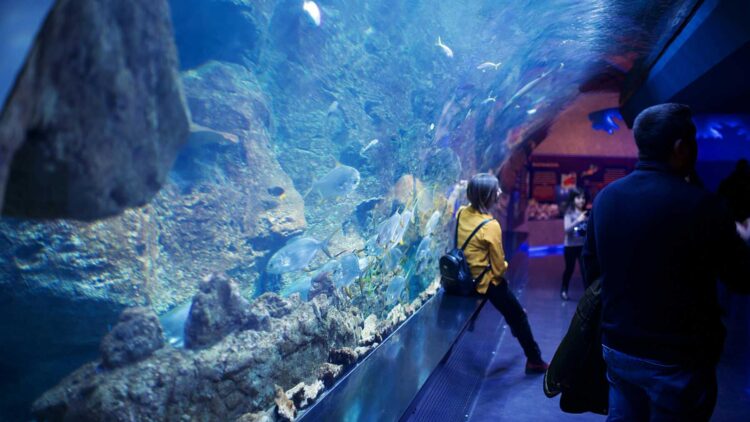 Es oficial: el parque temático natural de Europa