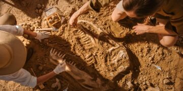 Descubren en Castilla-La Mancha huevos de dinosaurio