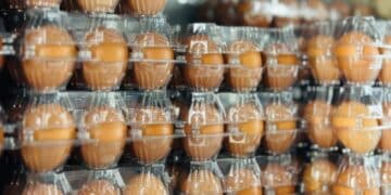 El huevo marca la inflación alimentaria en 2025