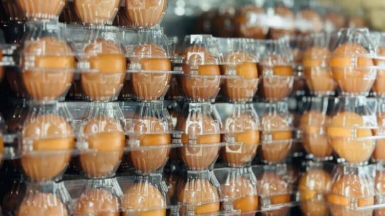 El huevo marca la inflación alimentaria en 2025