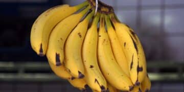 Así puedes conservar los plátanos mucho más tiempo