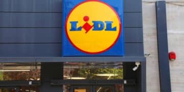 Este electrodoméstico de Lidl te permitirá cocinar todo el año