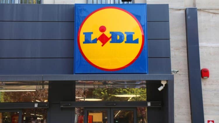 Ni airfryer ni microondas: este electrodoméstico de Lidl te permitirá cocinar todo el año y cuesta solo 25 euros 1 Este electrodoméstico de Lidl te permitirá cocinar todo el año