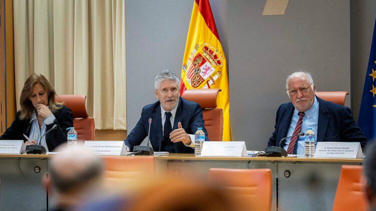 El ministro Marlaska pone en stand by las multas por no llevar la baliza V16: durante "un periodo razonable".