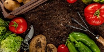 El Parlamento Europeo retrasa la aprobación definitiva del acuerdo con Mercosur y el campo respira