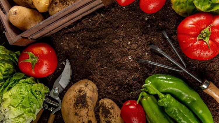 El Parlamento Europeo retrasa la aprobación definitiva del acuerdo con Mercosur y el campo respira