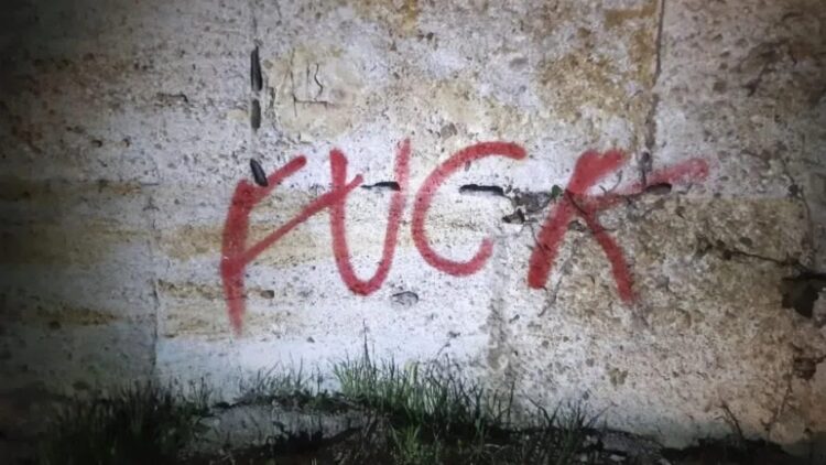 Dos menores de edad, identificados por daños sobre la muralla medieval de Zamora.