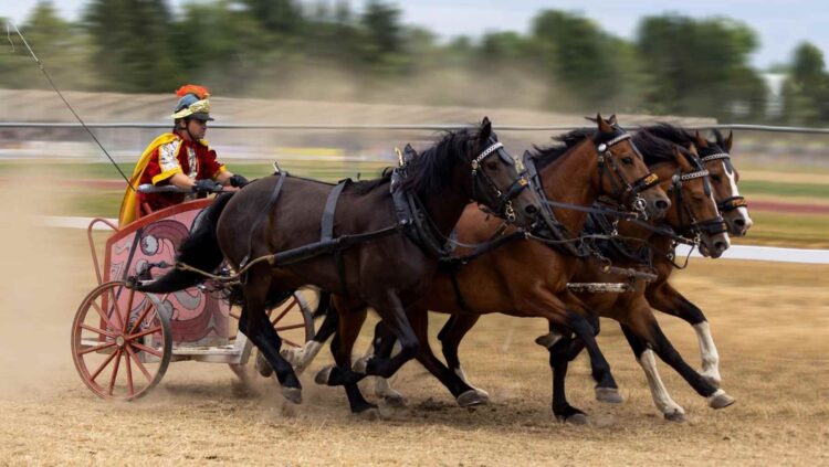 Histórico hallazgo en Vitoria: encuentran un recinto para carreras de cuádrigas para 5.000 personas