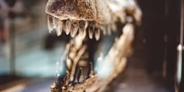 Hayan restos dinosaurio