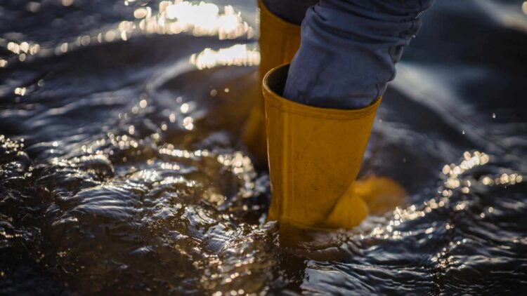 Récord en los embalses