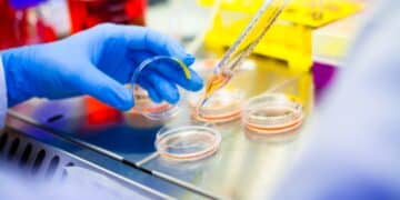 NASA makes it official - will use digital avatars to protect astronauts' health on the way to Mars