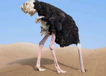 University of Chicago identifies the exact age at which the “ostrich effect” emerges in humans