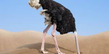 University of Chicago identifies the exact age at which the “ostrich effect” emerges in humans