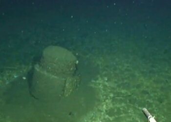 Farewell to mystery - scientists reveal contents of strange barrels that sparked ocean health scandal