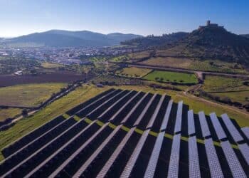 José Portillo, farmer - “I earn 19 times more by renting my land for solar panels than by growing wheat”