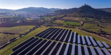 José Portillo, farmer - “I earn 19 times more by renting my land for solar panels than by growing wheat”