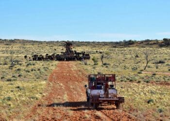 Owners of the world's largest cattle station are facing charges of environmental and cultural damage
