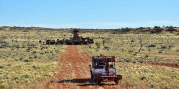 Owners of the world's largest cattle station are facing charges of environmental and cultural damage