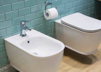Goodbye bidet - the new bathroom trend to replace the European classic