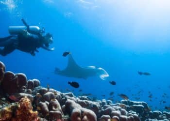 Dive instructor finds sunken Rolex on Kauai and returns it to its owner without accepting the $2,000 bounty