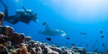 Dive instructor finds sunken Rolex on Kauai and returns it to its owner without accepting the $2,000 bounty