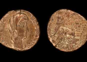 Expert divers find 50,000 coins on Italian seabed