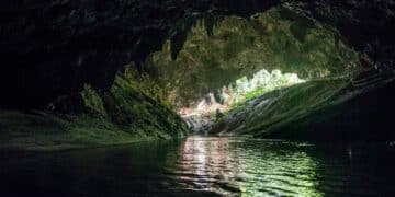 It's official - researchers find Desmoxytes chaofa, a new dragon-like species, in Thailand