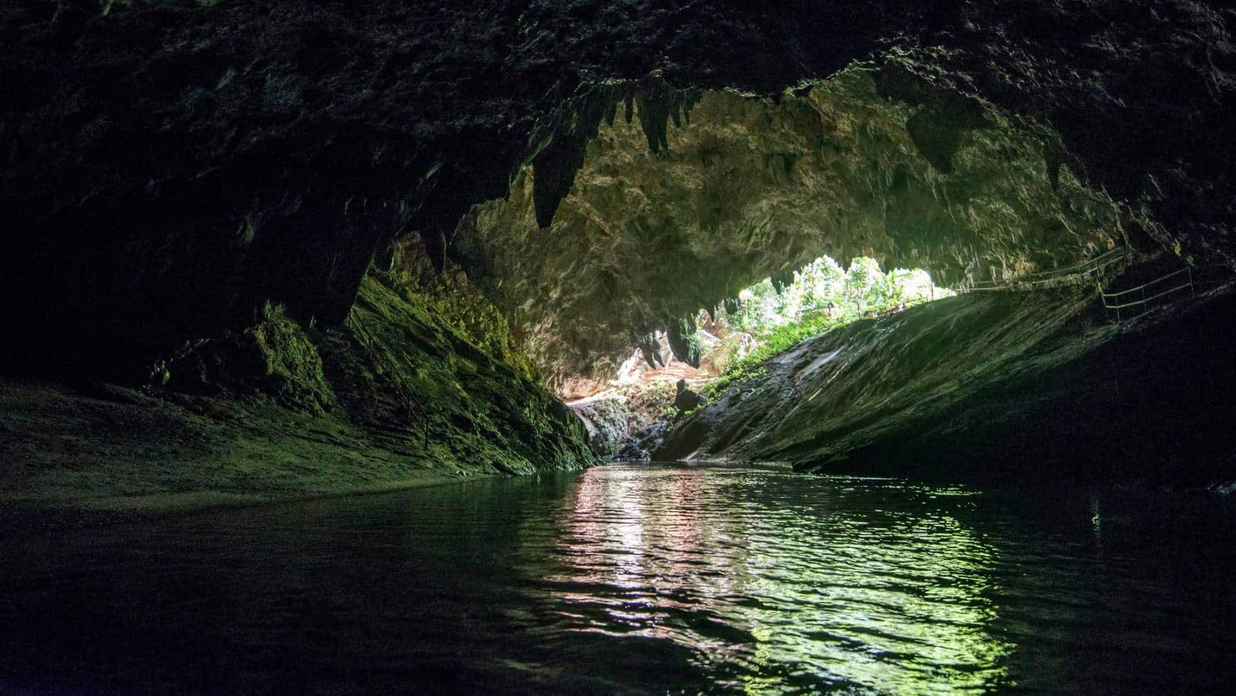 It's official - researchers find Desmoxytes chaofa, a new dragon-like species, in Thailand