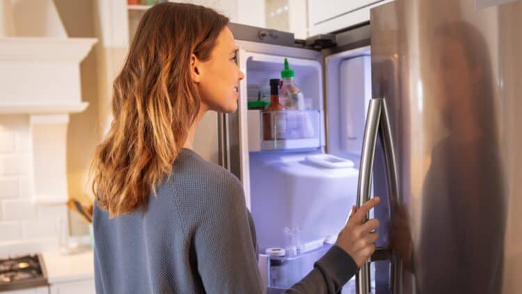 No gas, no compressor - this is how the revolutionary method that cools with ions works and could make today's refrigerators obsolete 1 The revolutionary method that cools with ions works and could make today's refrigerators obsolete
