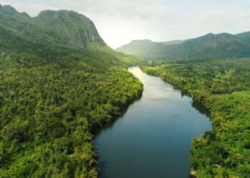 Archeologists find evidence that ancient humans thrived in the African jungle long before previously thought 12 Archeologists find evidence that ancient humans thrived in the African jungle long before previously thought