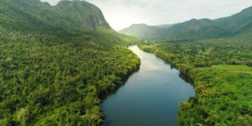 Archeologists find evidence that ancient humans thrived in the African jungle long before previously thought