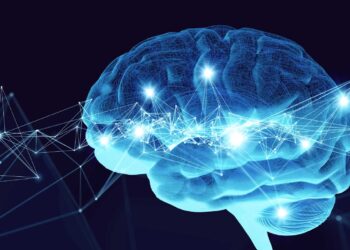 It's official—the shape of the brain, a new clue for identifying cognitive decline years before diagnosis 9 It's official—the shape of the brain, a new clue for identifying cognitive decline years before diagnosis