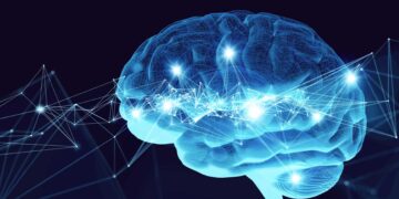 It's official—the shape of the brain, a new clue for identifying cognitive decline years before diagnosis