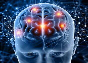 Neither 18 nor 21—the true frontier of the adult brain comes later, according to Cambridge scientists