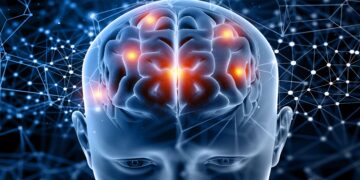 Neither 18 nor 21—the true frontier of the adult brain comes later, according to Cambridge scientists