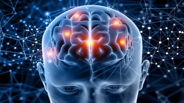 Neither 18 nor 21—the true frontier of the adult brain comes later, according to Cambridge scientists