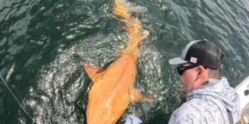 A bright orange shark with white eyes appears in Costa Rica—an unprecedented genetic discovery