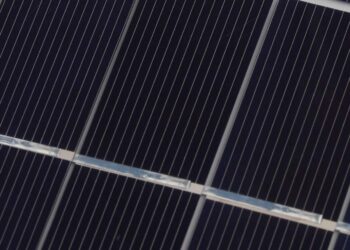 Goodbye to energy waste—the black material that promises to extend the life of solar panels worldwide