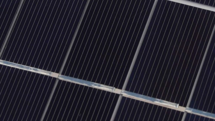 Goodbye to energy waste—the black material that promises to extend the life of solar panels worldwide