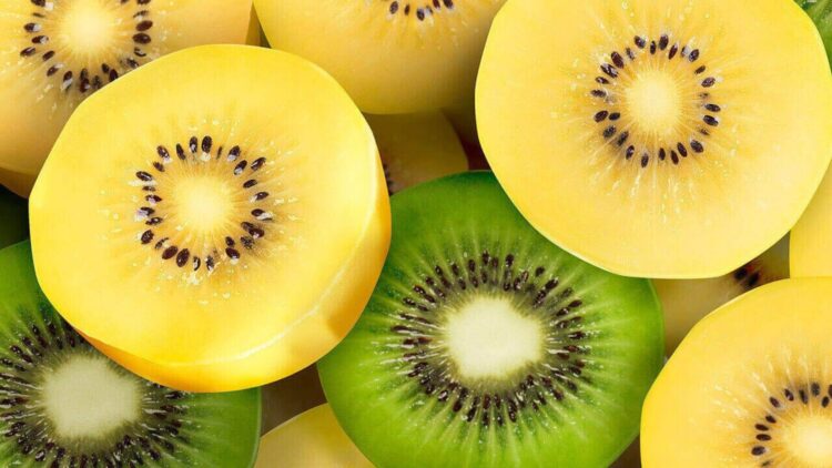 Confirmed—new studies confirm that eating three kiwis a day can relieve chronic constipation without the need for medication 1 New studies confirm that eating three kiwis a day can relieve chronic constipation