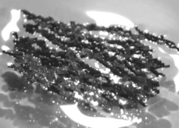 Goodbye to conventional robots—South Korea unveils amazing 'ant' robot capable of lifting superhuman weights, according to KAIST