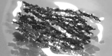 Goodbye to conventional robots—South Korea unveils amazing 'ant' robot capable of lifting superhuman weights, according to KAIST