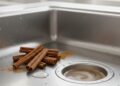 Discover how cinnamon can clean pipes and improve your home environment