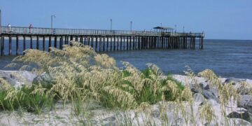 No more feeding animals in Alabama-Dauphin Island fines of up to $500