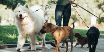 U.S. states are considering requiring mandatory training for new pet owners