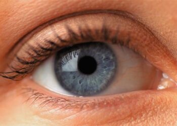 How to tell if someone is paying attention to what you're saying—a study from Concordia University reveals how the brain reduces blinking when listening 11 How to tell if someone is paying attention to what you're saying—a study from Concordia University reveals how the brain reduces blinking when listening