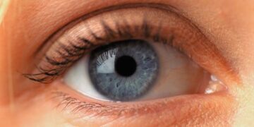 How to tell if someone is paying attention to what you're saying—a study from Concordia University reveals how the brain reduces blinking when listening