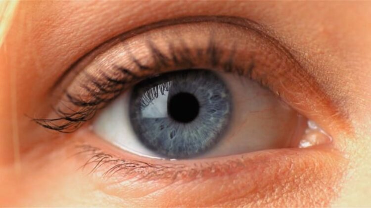 How to tell if someone is paying attention to what you're saying—a study from Concordia University reveals how the brain reduces blinking when listening