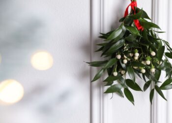 Confirmed by botanists—this Christmas decoration is a parasite, yet it continues to reign supreme in Christmas traditions and homes across the United States