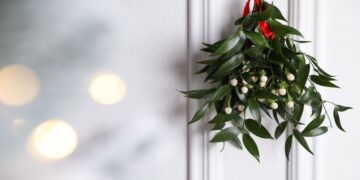 Confirmed by botanists—this Christmas decoration is a parasite, yet it continues to reign supreme in Christmas traditions and homes across the United States